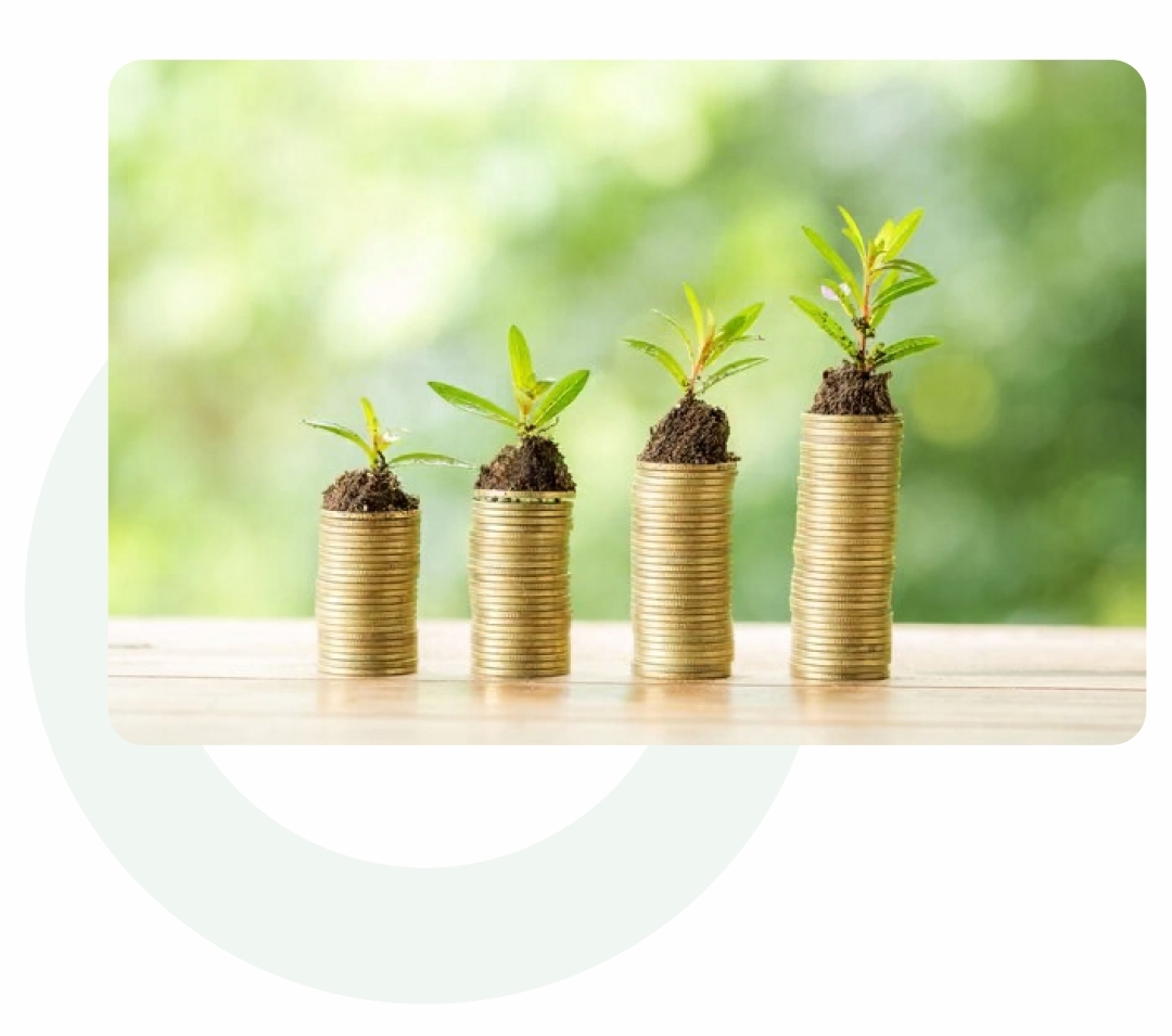 Investor Registration