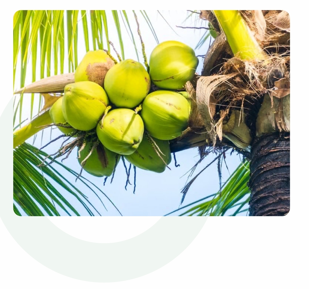 Farmers Registration